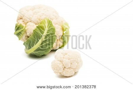 Cauliflower ngredient food isolated on white background