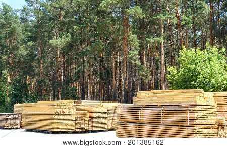 Wooden boards stacked in stacks. Green pine forest in the background