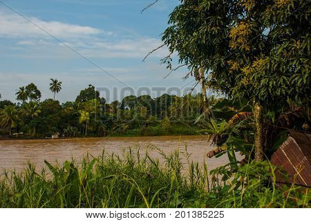 Kinabatangan river Malaysia rainforest of Borneo island Sabah
