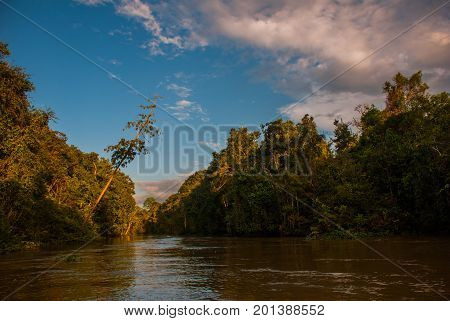 Kinabatangan River, Rainforest Of Borneo Island, Sabah Malaysia