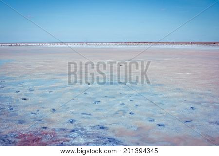 Salt, brine and mud of pink lake, colored by microalgae Dunaliella salina, enriching water by beta-carotene, used in medicine, dermatology  and  spa procedures.