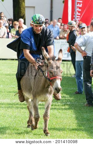 Riding A Donkey Contest