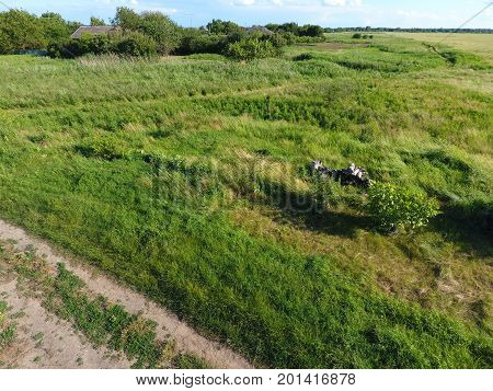 The Site Is Overgrown With Grass. Weed Vegetation On Non-plowed Soil.