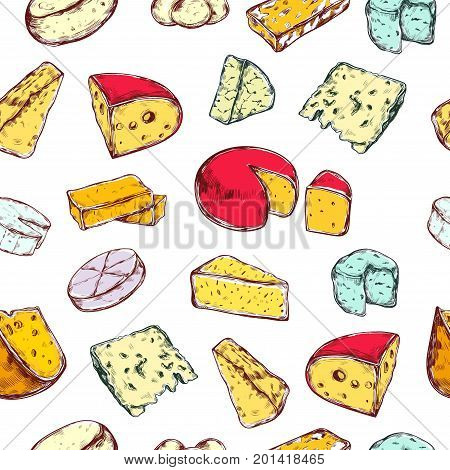 Seamless pattern with different types of cheese. Vector hand drawn