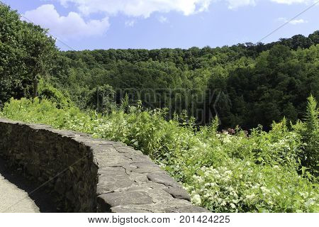 View of forest and gorge from the stone walled walking path at Letchworth State park in New York. Wildflowers growing along wall at top of gorge. Blue skies and clouds