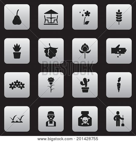 Set Of 16 Editable Planting Icons. Includes Symbols Such As Seed Planting, Watering, Blackberry And More