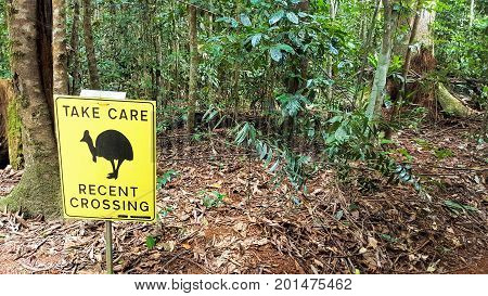 take care recent crossing of cassowary sign in the rainforest