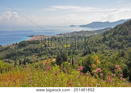 View over green coastal landscape of greek island Samos in spring