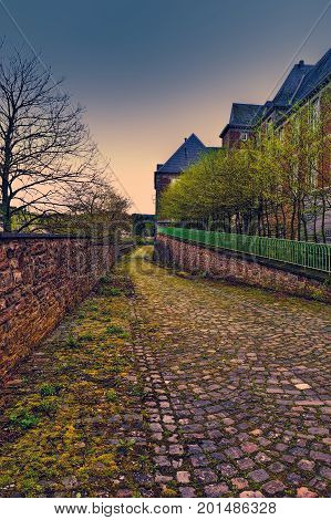 Belgian houses with gardens along a quiet street with hedges and trees. The old pavement covered with moss in St Hubert Belgium at sunset.