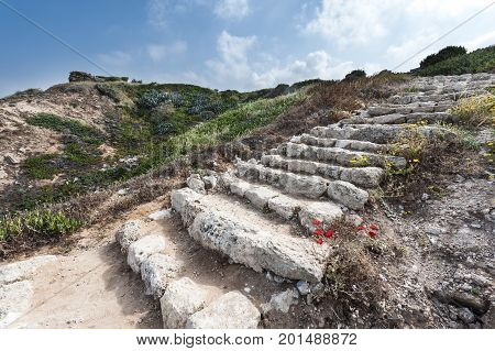 Dunes on the Shore of the Mediterranean Sea in Israel. Spring flowers in the Israeli Apollonia national park. Remnants of the stairs in archaeological excavations