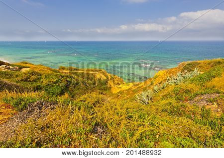 Dunes on the Shore of the Mediterranean Sea in Israel. Spring plants in the Israeli Apollonia national park