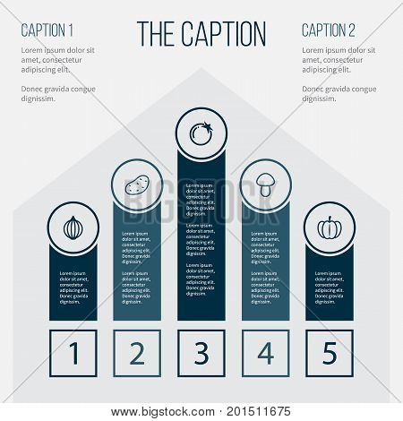 Outline Greens Set Of Champignon, Tomato, Gourd And Other Vector Objects