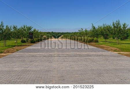The road to the memory of the dead is not at home in the garden of destinies in Koknese in Latvia. Every stone has a name.