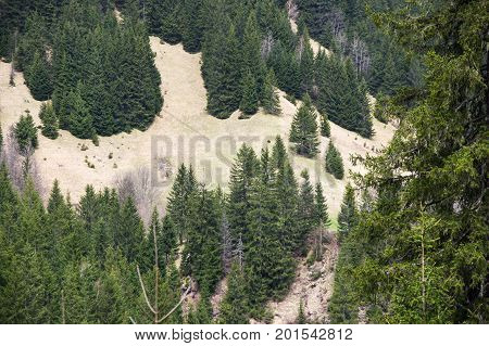 The of mountain in Alps the highest and most extensive mountain range system that lies entirely in Europe