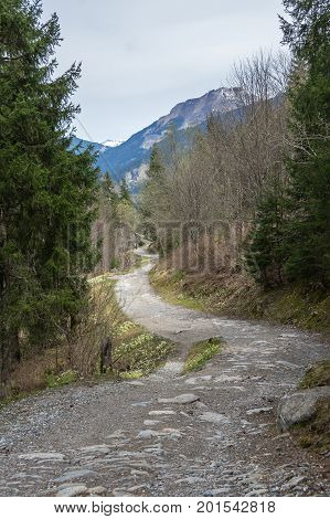 Panoramic view of Alps the highest and most extensive mountain range system that lies entirely in Europe