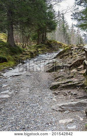 The of mountain in Alps the highest and most extensive mountain range system that lies entirely in Europe