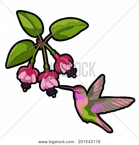 Pink fuchsia and hummingbird embroidery patch on white background. Romantic floral textile print.