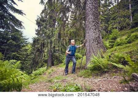 Hiking in the mountains with a backpack in the summer.