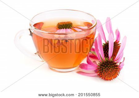 Echinacea tea isolated on white background. Medicinal tea.