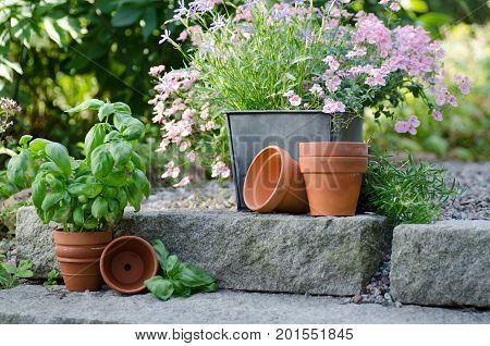 Cottage garden - beautiful flowers in pots with table and chair on the background