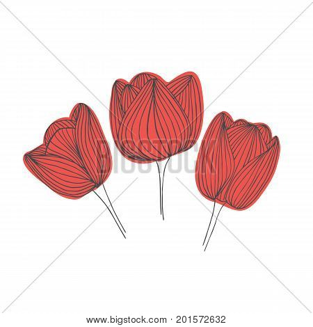 Hand drawn vector tulips with watercolor splashes with freehand textures and nature floral motifs in pastel colors isolated on white background.