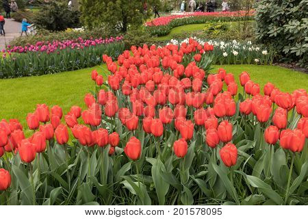 LISSE NETHERLANDS - APRIL 19 2017: Visitors at the Keukenhof Garden in Lisse Holland Netherlands.