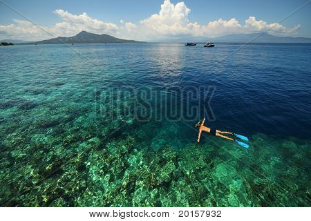 Giovane uomo lo snorkeling sulla barriera corallina nel mare tropicale trasparente. Isola di Bunaken. Indonesia