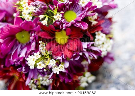 fuschia csokor Vértes