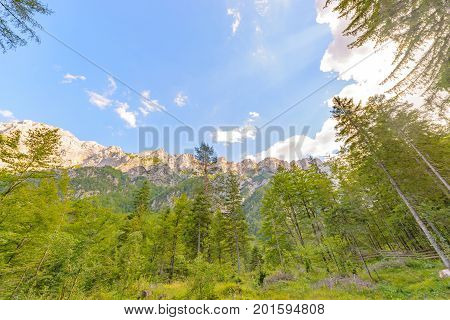 A beutiful landscape in the mountains, clouds above peaks and forest in foreground, European Alps, Robanov kot, Slovenia
