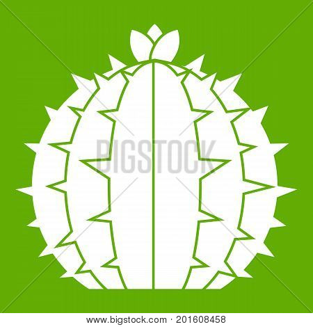 Lophophora cactus icon white isolated on green background. Vector illustration