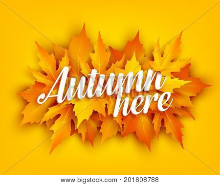 Autumn leaf poster of orange and yellow maple foliage. Fall nature season banner with bunch of september leaves for autumn holiday greeting card and fall fest invitation template design