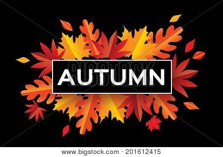 Autumn Paper Cut Leaves. Hello Autumn. September flyer template. Rectangle frame. Space for text. Origami Foliage. Maple, oak. Fall poster. Black background. Vector illustration