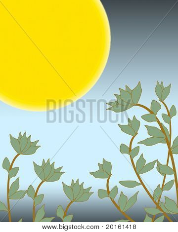 ดวงจันทร์และใบไม้ในเวลากลางคืน