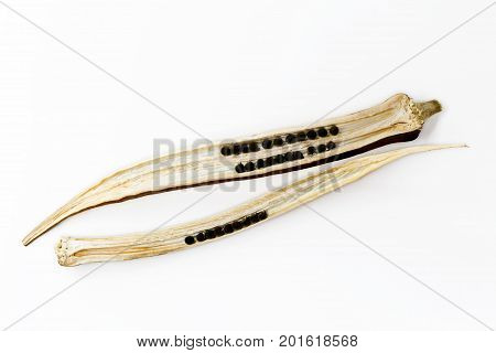 Dried Abelmoschus esculentus / Okra seed isolated on a white background.