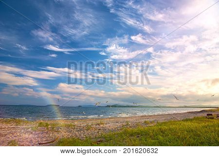 a beach on the sea, sand and waves, seagulls fly over the water. Sunset