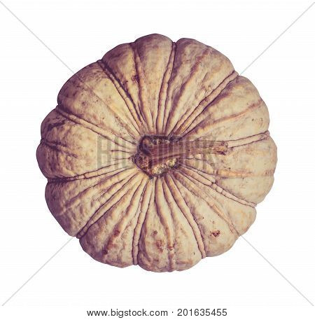 pumpkin isolated on white background with path