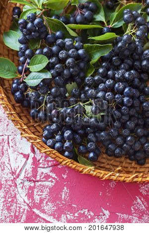 homemade chokeberry juice or liqueur - food and drink