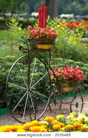 Ročníku tři kolová kola