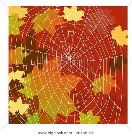 folhas de outono com ilustração de teia de aranha