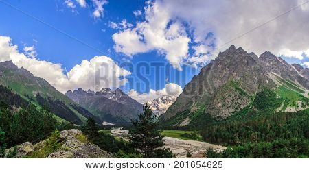 Amazing nature view of green mountain forest and tree growing on a rock, natural landscape perspective, Caucasus, Russia.