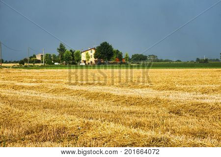 Country landscape along the road from Vigolo Marchese to Fiorenzuola d'Arda (Piacenza Emilia Romagna Italy) at summer