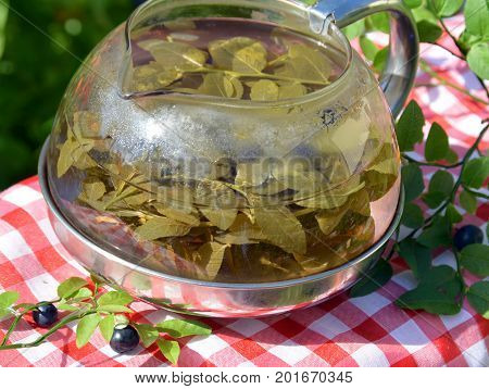 ealthy herbal tea from the leaves and blueberries in the pot in the garden - prescription alternative medicine