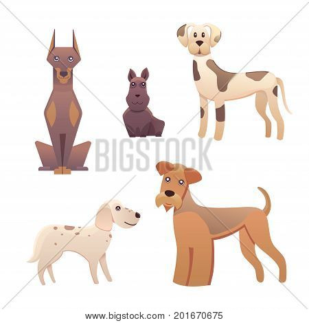 Collection cute different type of dogs small and big. Vector breed dogs isolated set.