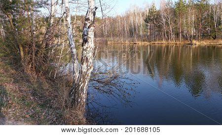 Silent weather in a spring day on a forest lake