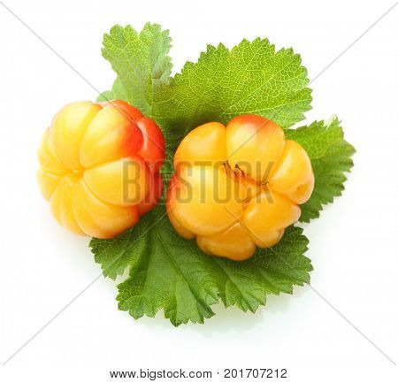 Cloudberry Berry isolated on white background