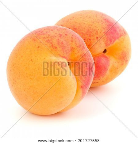 Two apricot fruit isolated on white background cutout