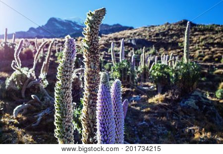 Beautiful mountains landscapes in Cordillera Huayhuash, Peru, South America