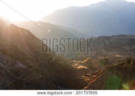 canyon Colca in Peru, South America