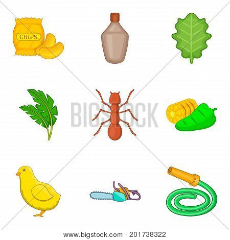 Bulgarian pepper icons set. Cartoon set of 9 bulgarian pepper vector icons for web isolated on white background