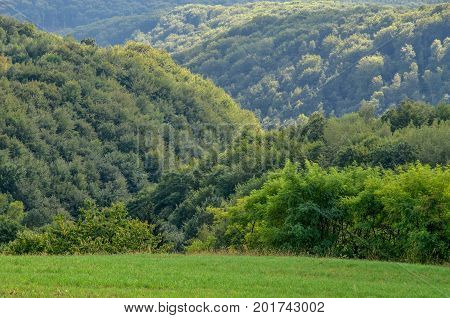 Natural green summer landscape. Beautiful Jurassic valley in Poland.